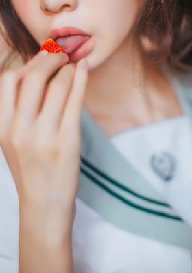 我叫赵甲第二部